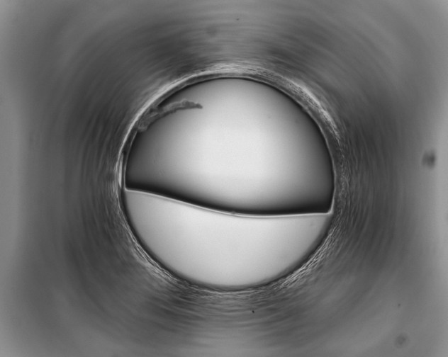 X0000101111276200806261100