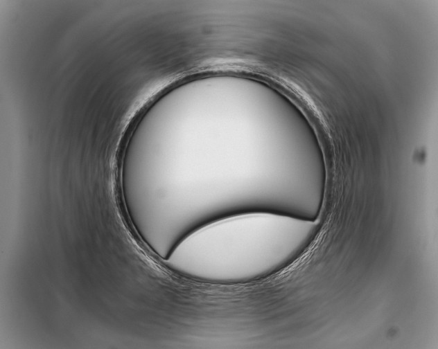 X0000101111277200806261100