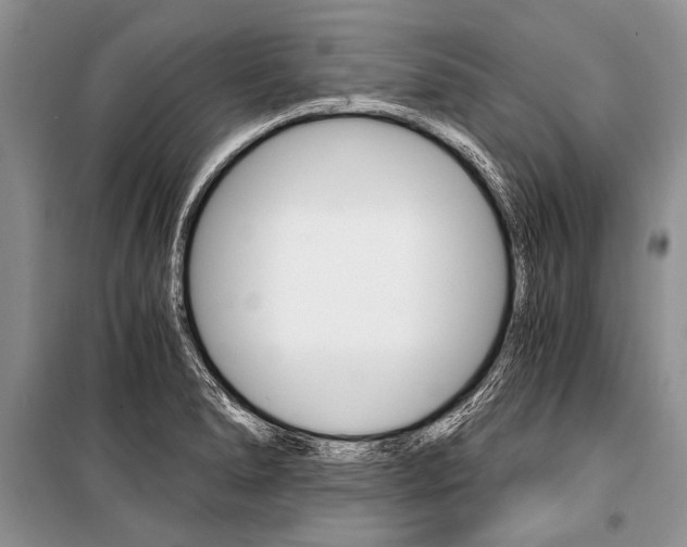 X0000101111278200806261100