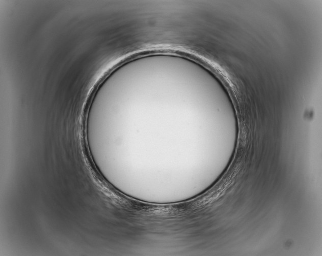 X0000101111279200806261100