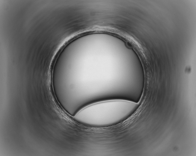 X0000101111280200806261100