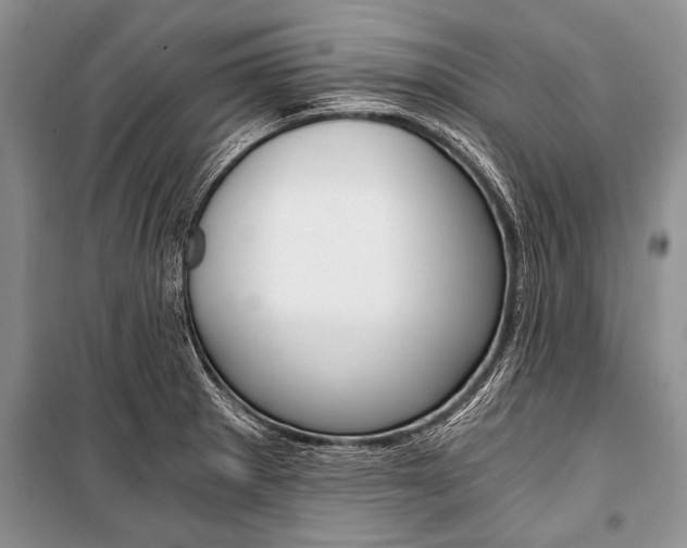 X0000101111281200806261100