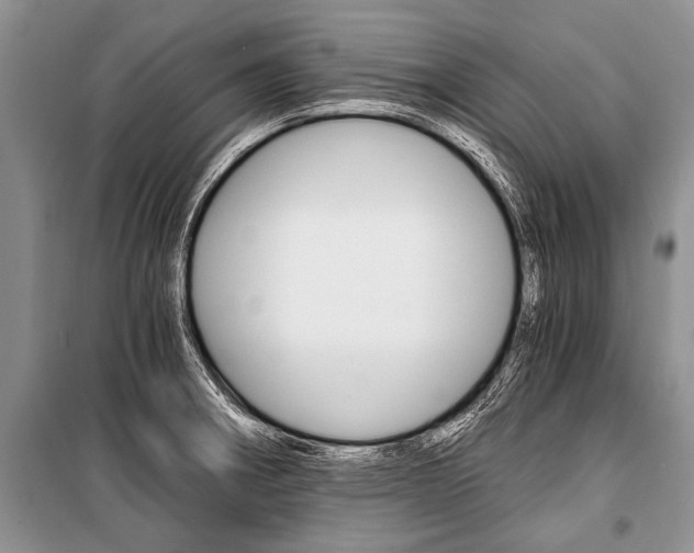 X0000101111282200806261100