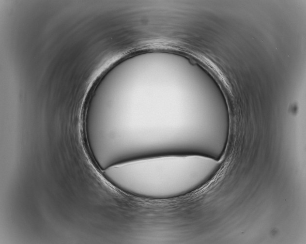 X0000101111285200806261100