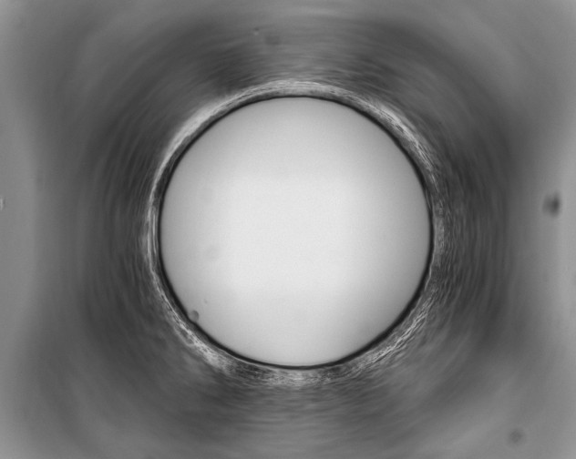 X0000101111286200806261100