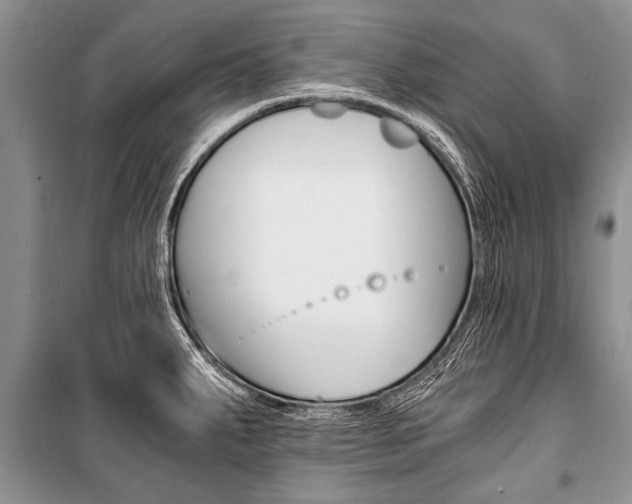 X0000101111287200806261100