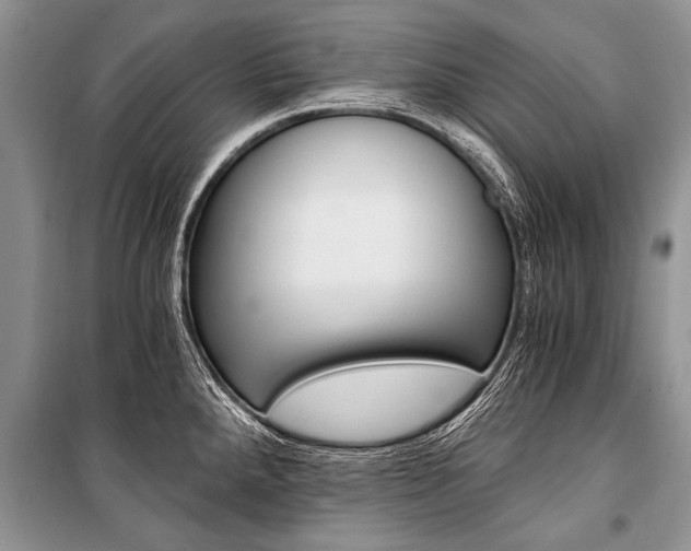 X0000101111288200806261100