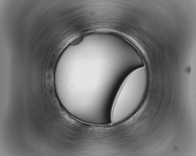 X0000101111289200806261100