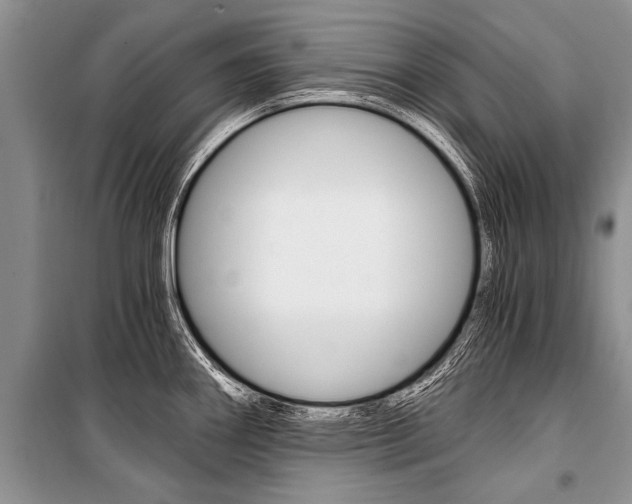 X0000101111290200806261100