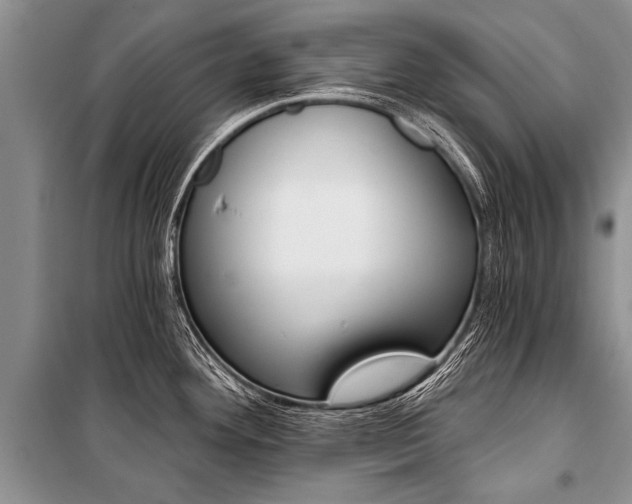 X0000101111292200806261100