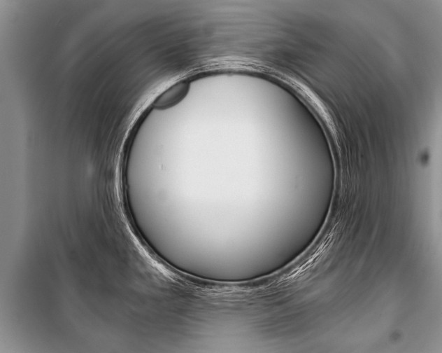 X0000101111293200806261100