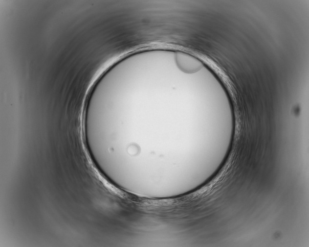 X0000101111294200806261100