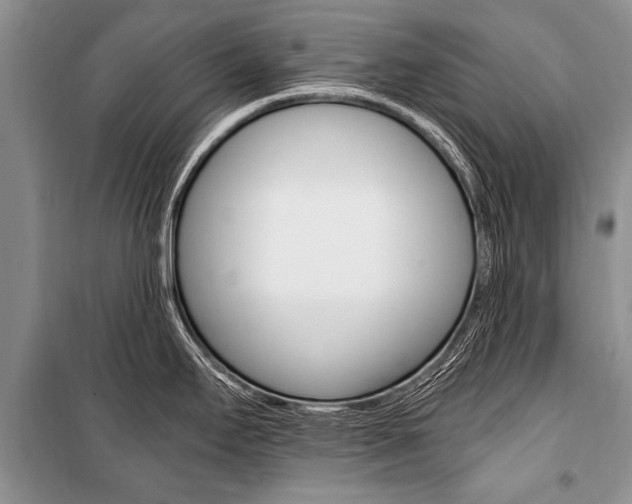 X0000101111295200806261100