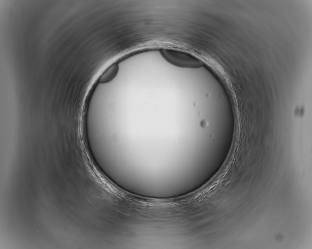 X0000101111296200806261100