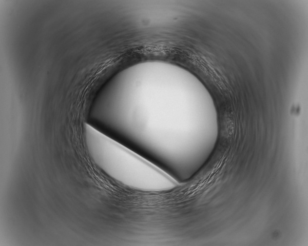 X0000101111297200806261059