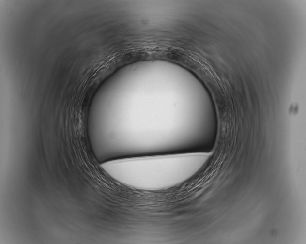 X0000101111298200806261059