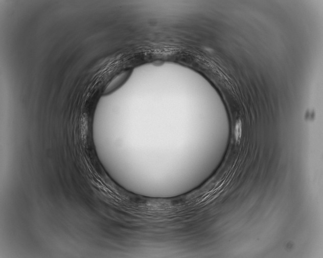 X0000101111299200806261059