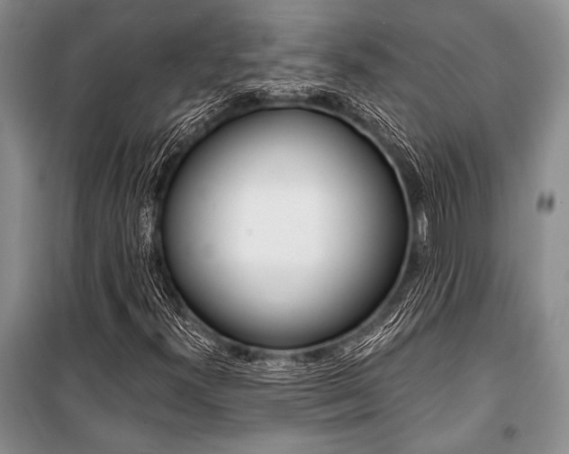 X0000101111300200806261059