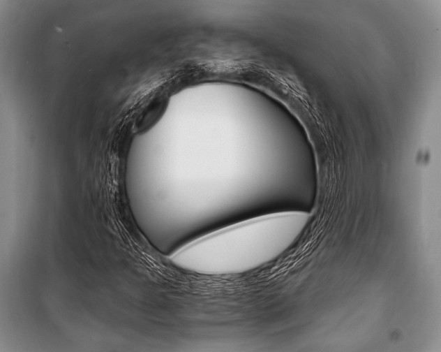 X0000101111301200806261059