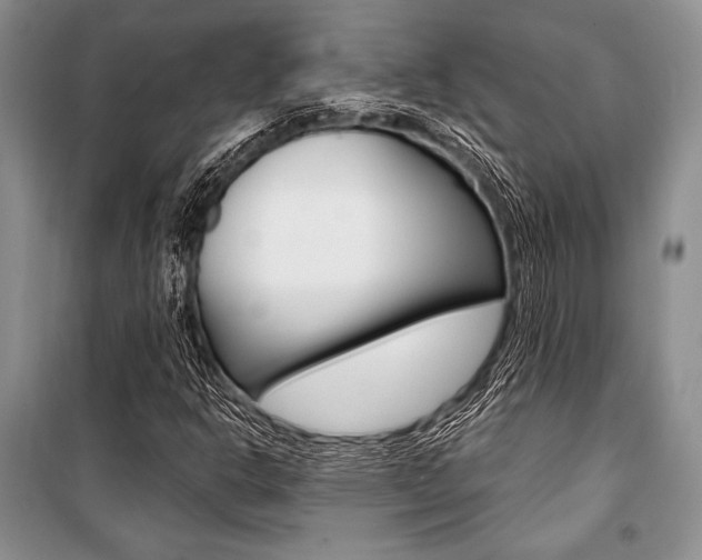 X0000101111302200806261059