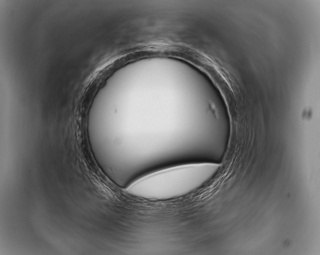 X0000101111304200806261059