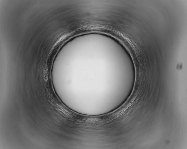 X0000101111306200806261059