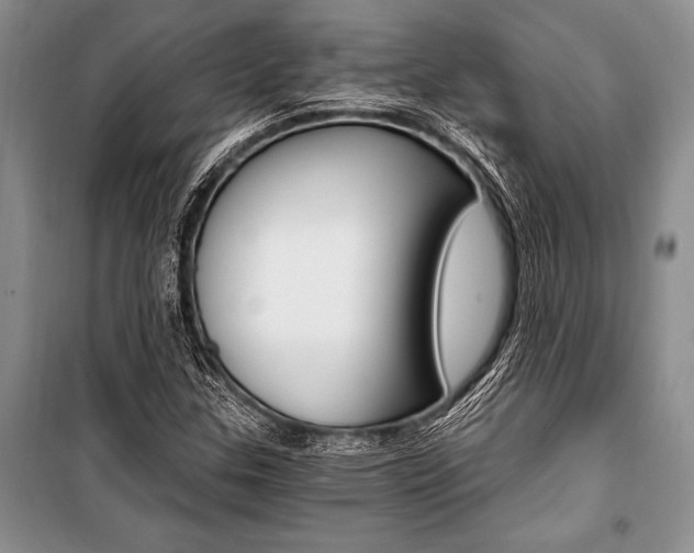 X0000101111307200806261059