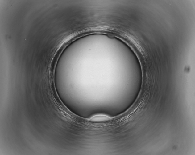 X0000101111308200806261059