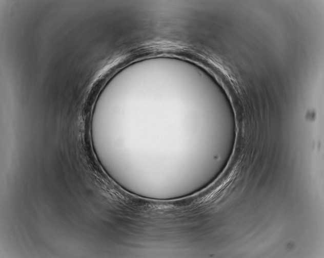 X0000101111309200806261059