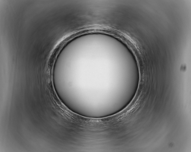 X0000101111310200806261059