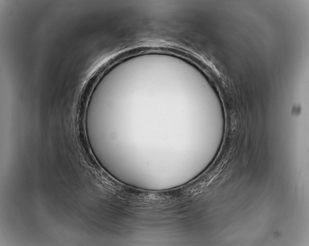 X0000101111311200806261059