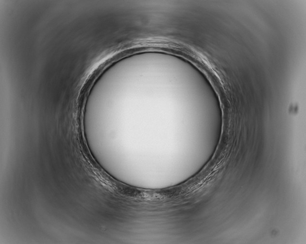 X0000101111312200806261059