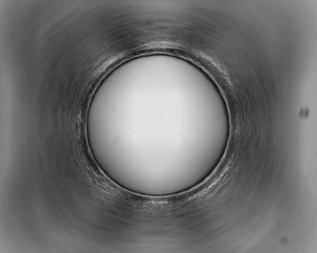 X0000101111313200806261059