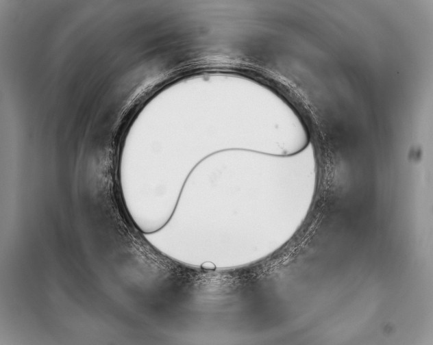 X0000101111314200806261059