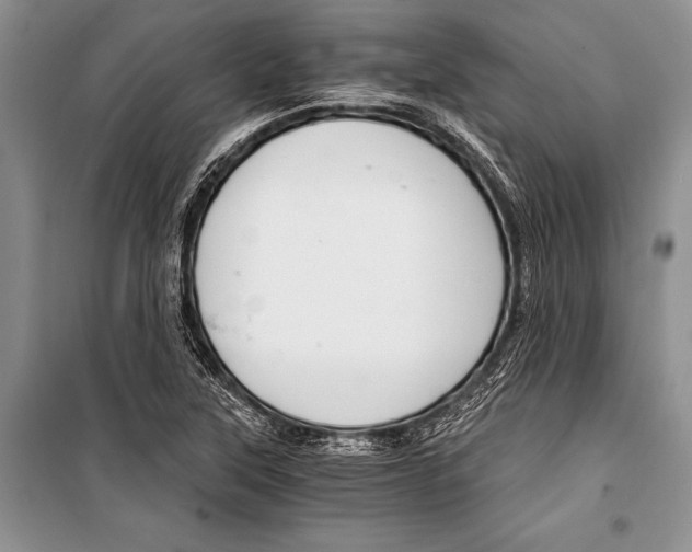 X0000101111315200806261059
