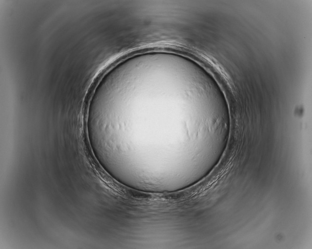 X0000101111316200806261059