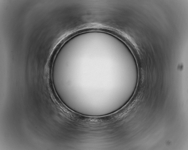 X0000101111318200806261059