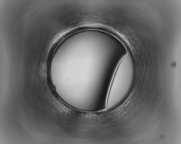 X0000101111319200806261059