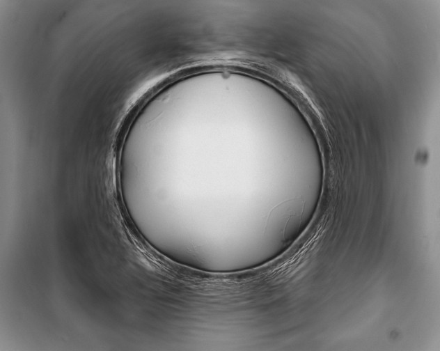 X0000101111320200806261059
