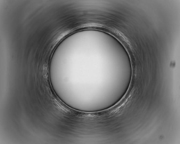 X0000101111321200806261059