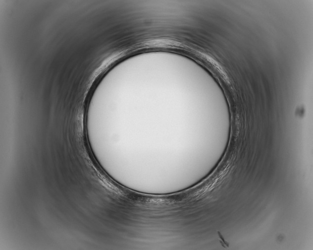 X0000101111322200806261059