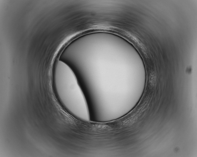 X0000101111323200806261059