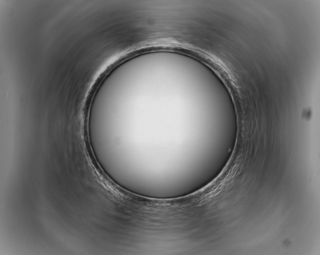 X0000101111326200806261059