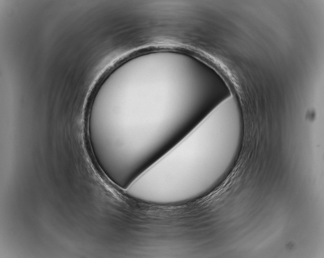 X0000101111327200806261059