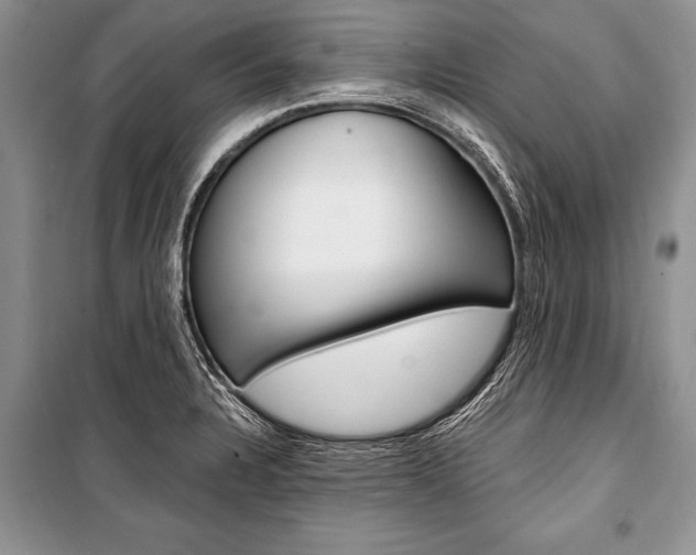 X0000101111328200806261059