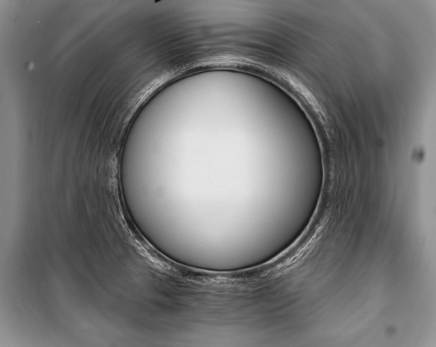 X0000101111329200806261100