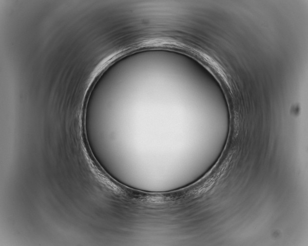 X0000101111330200806261100
