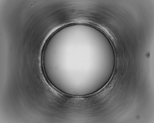 X0000101111331200806261100