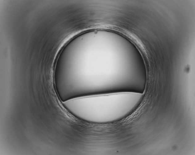 X0000101111332200806261100