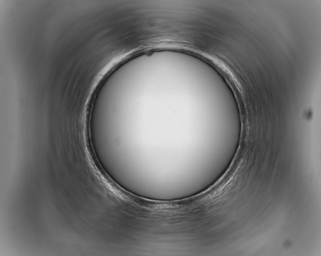X0000101111333200806261100